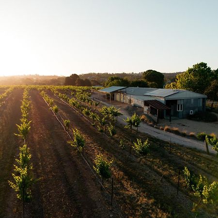 Bed In A Shed Vineyard Stay Watervale Екстер'єр фото