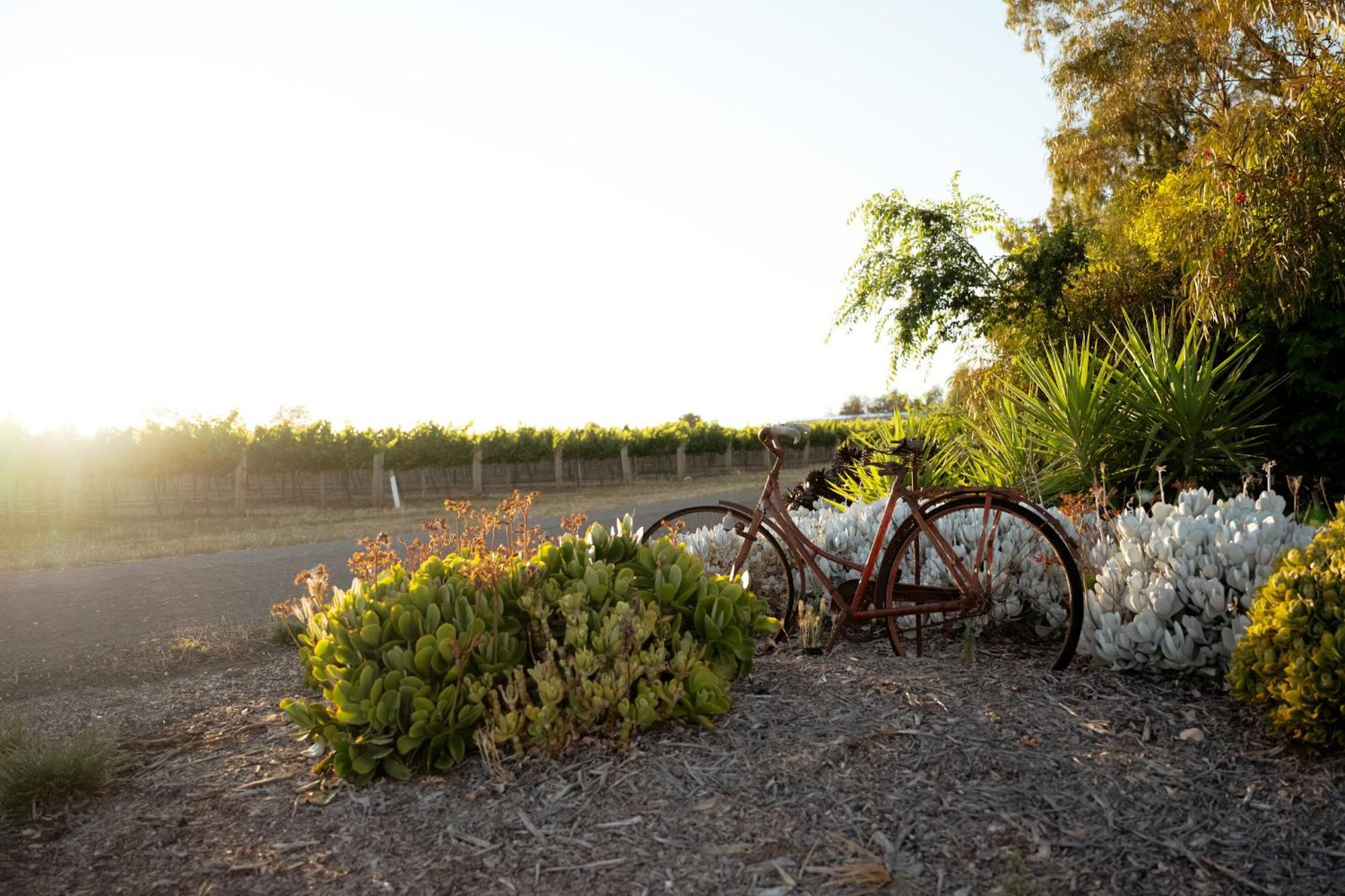 Bed In A Shed Vineyard Stay Watervale Екстер'єр фото