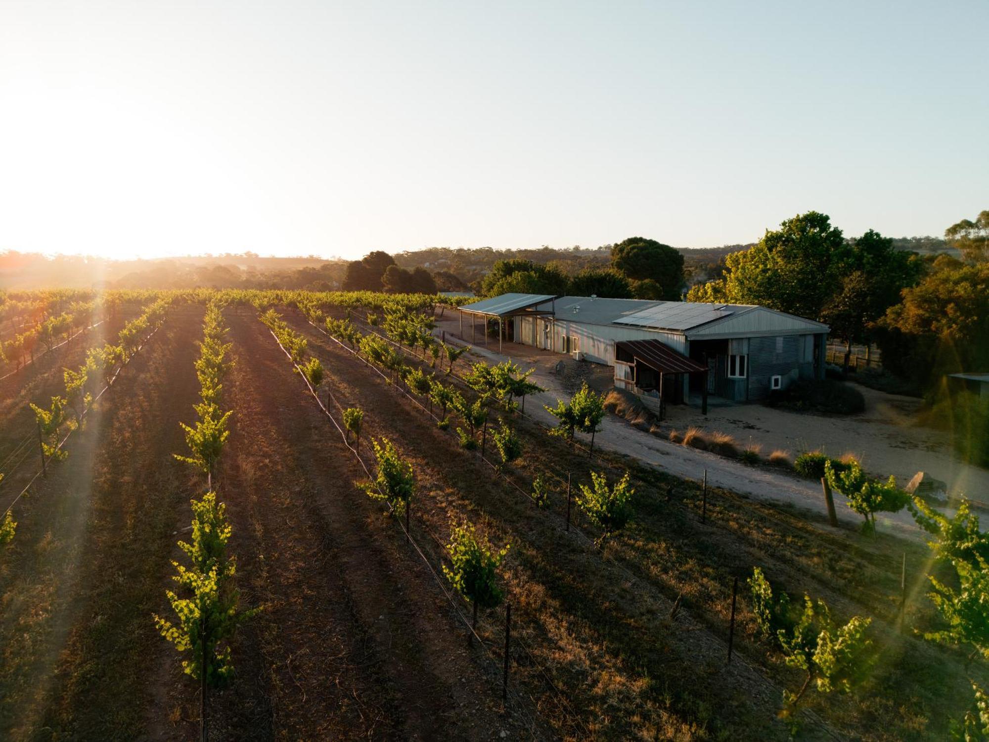 Bed In A Shed Vineyard Stay Watervale Екстер'єр фото